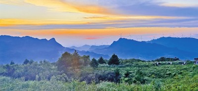 【大美中国】重庆南川 “山沟沟”展新颜 “水陆空”游小镇